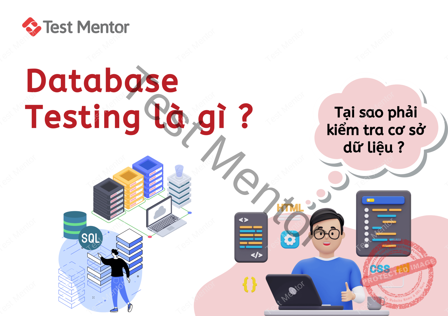 Cách kiểm tra dữ liệu trong SQL Database cho Tester - Test Mentor