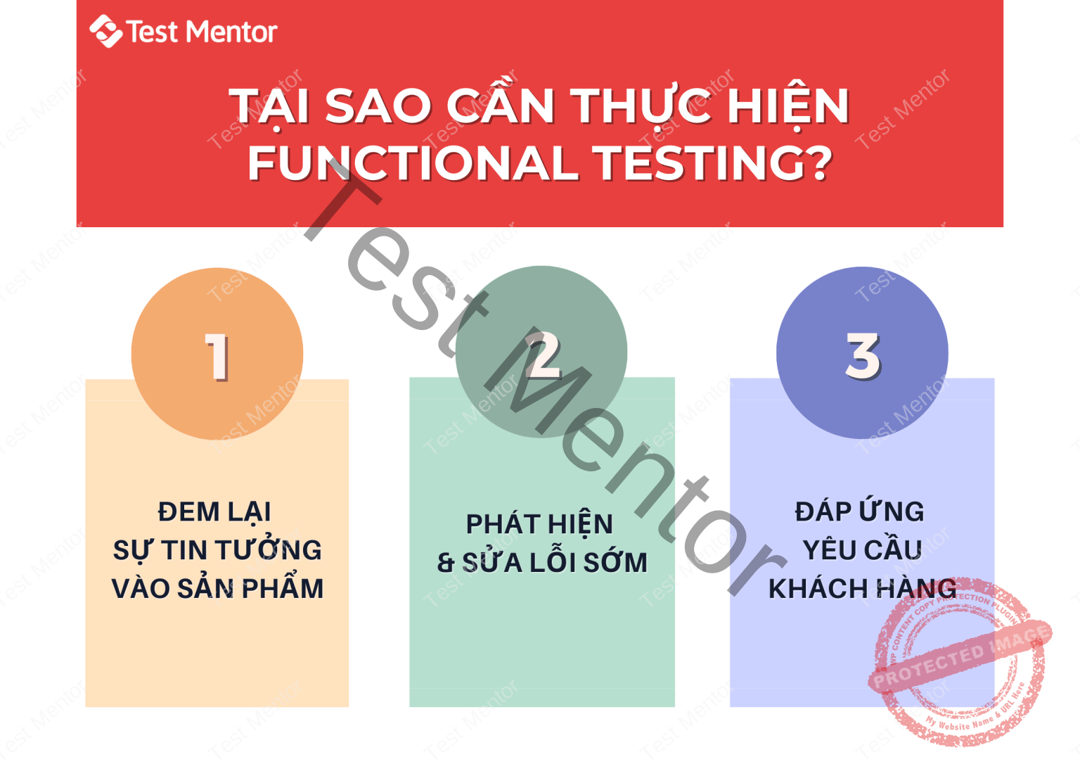 Functional Testing là gì? Các bước cơ bản trong việc thực hiện kiểm thử ...
