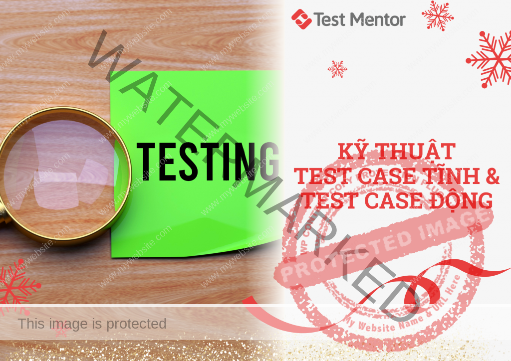 Test case tĩnh và Test case động