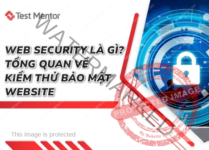 Web Security là gì? Tổng quan về kiểm thử bảo mật website