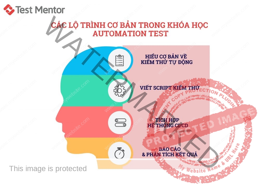 lo-trinh-co-ban-trong-khoa-hoc-automation-test