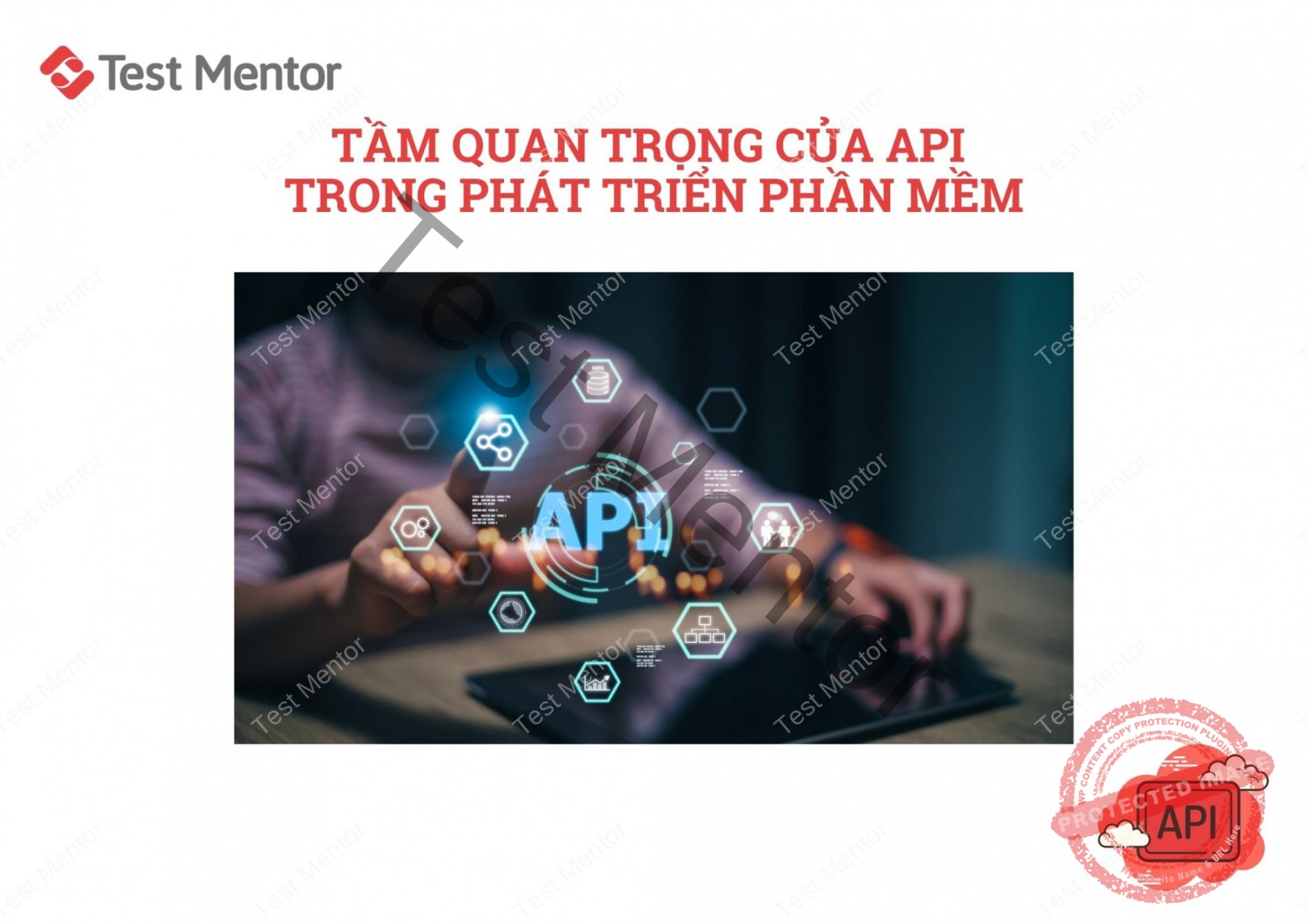 Xu hướng API hàng đầu 2024: Những điều bạn cần biết - Test Mentor