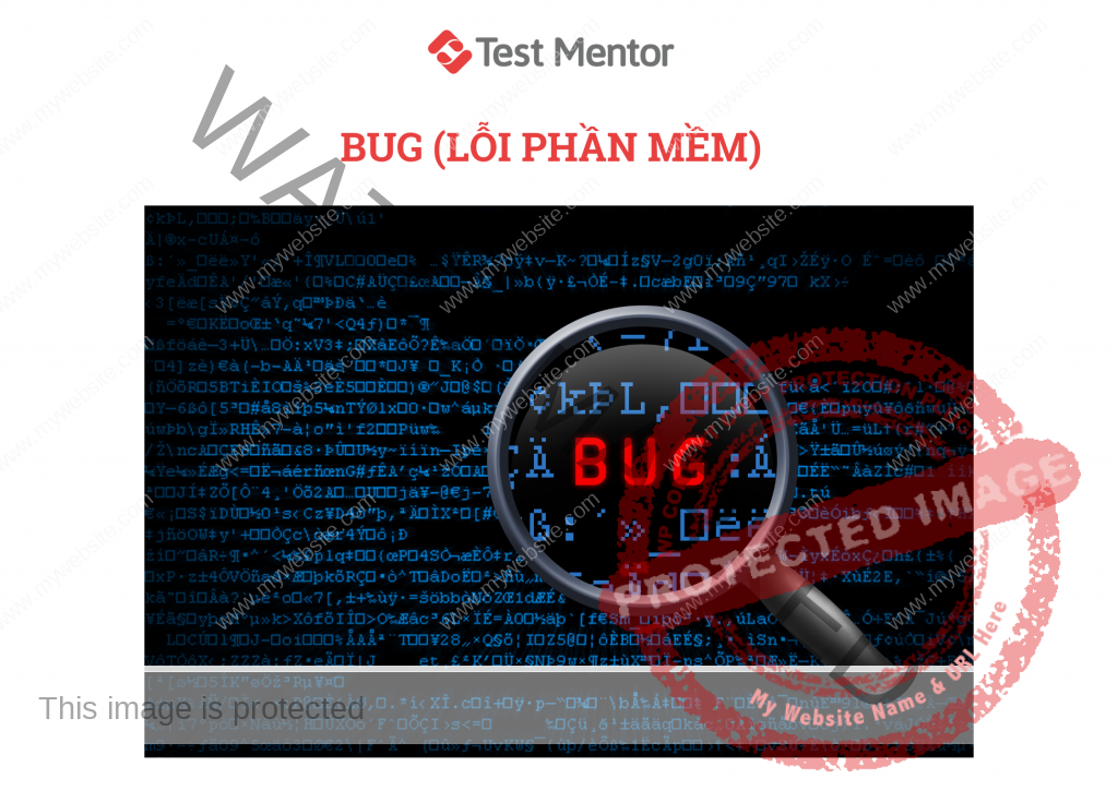 bug-loi-phan-mem