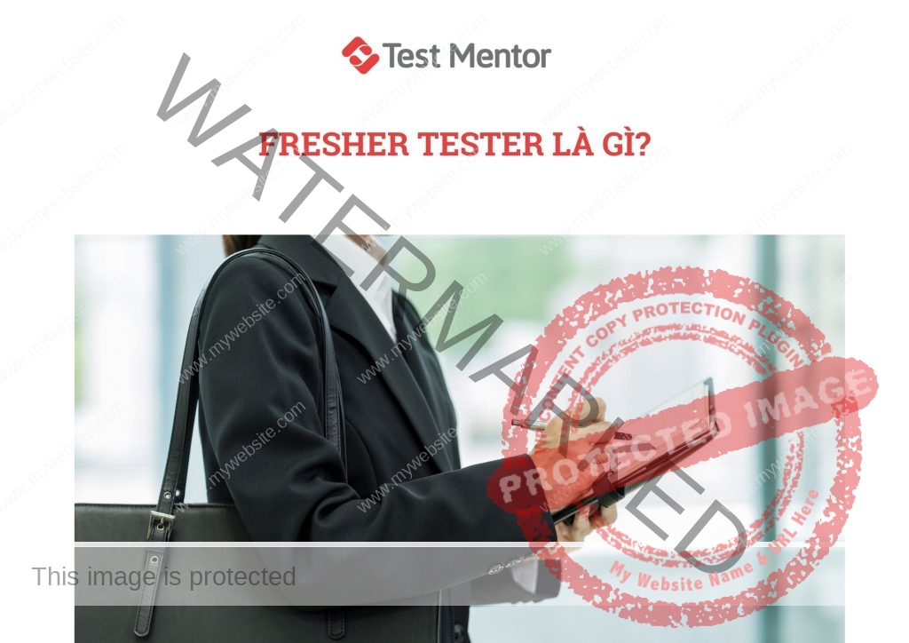 fresher-tester-la-gi